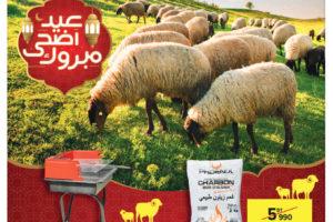 Catalogue Carrefour Tunisie