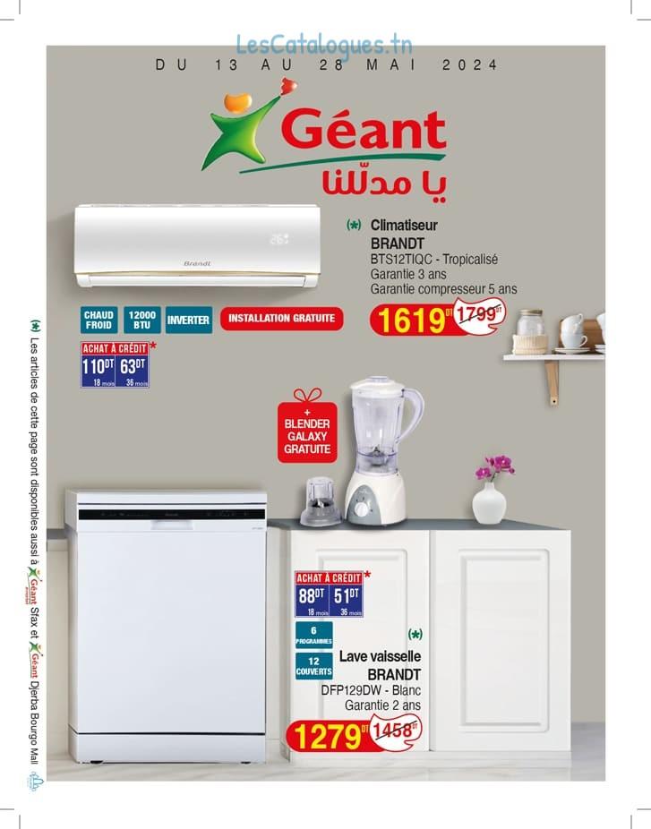 geant catalogue 1
