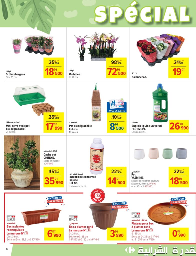 Carrefour [2025] Carrefour (La Marsa) Jardin & Bricolage page 0006
