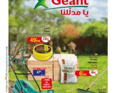 catalogue geant 1