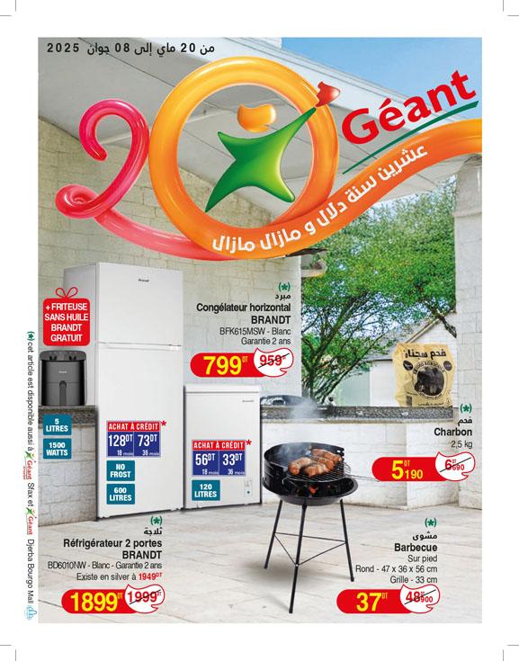 catalogue geant 1