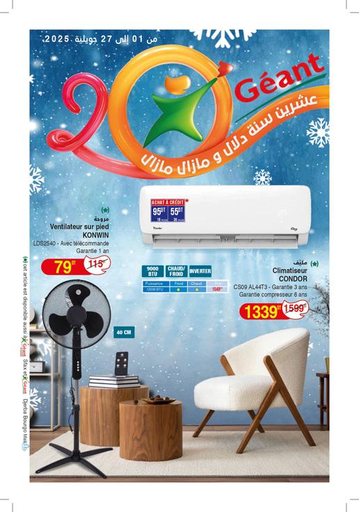 climatiseurs ventilateurs geant 1