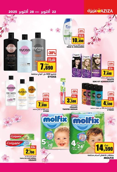 aziza catalogue 33