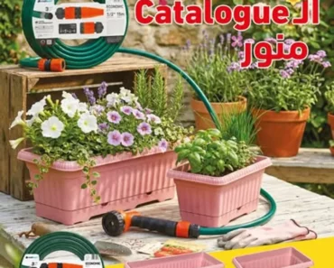 Catalogue Aziza