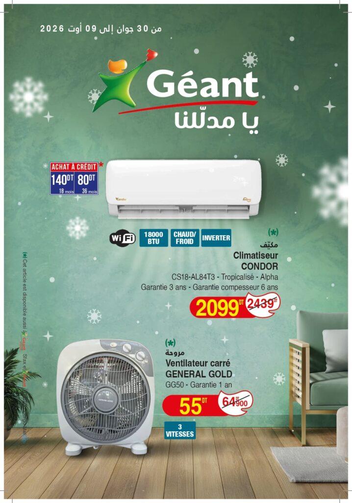 catalogue geant 1