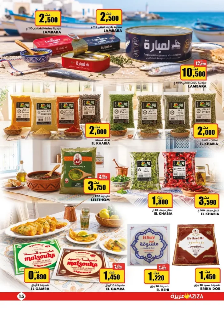 catalogue aziza 14