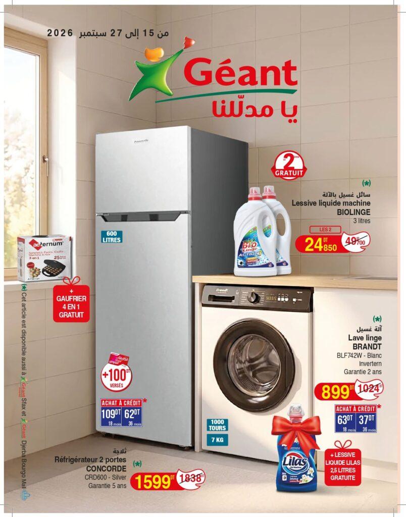 catalogue geant p1