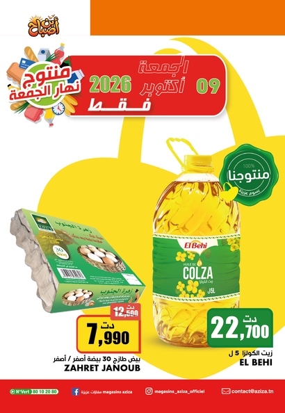 aziza catalogue 46